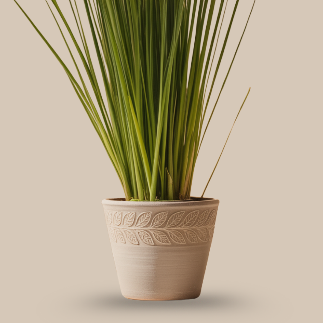 Lemongrass – The Detox Herb of Calm Focus