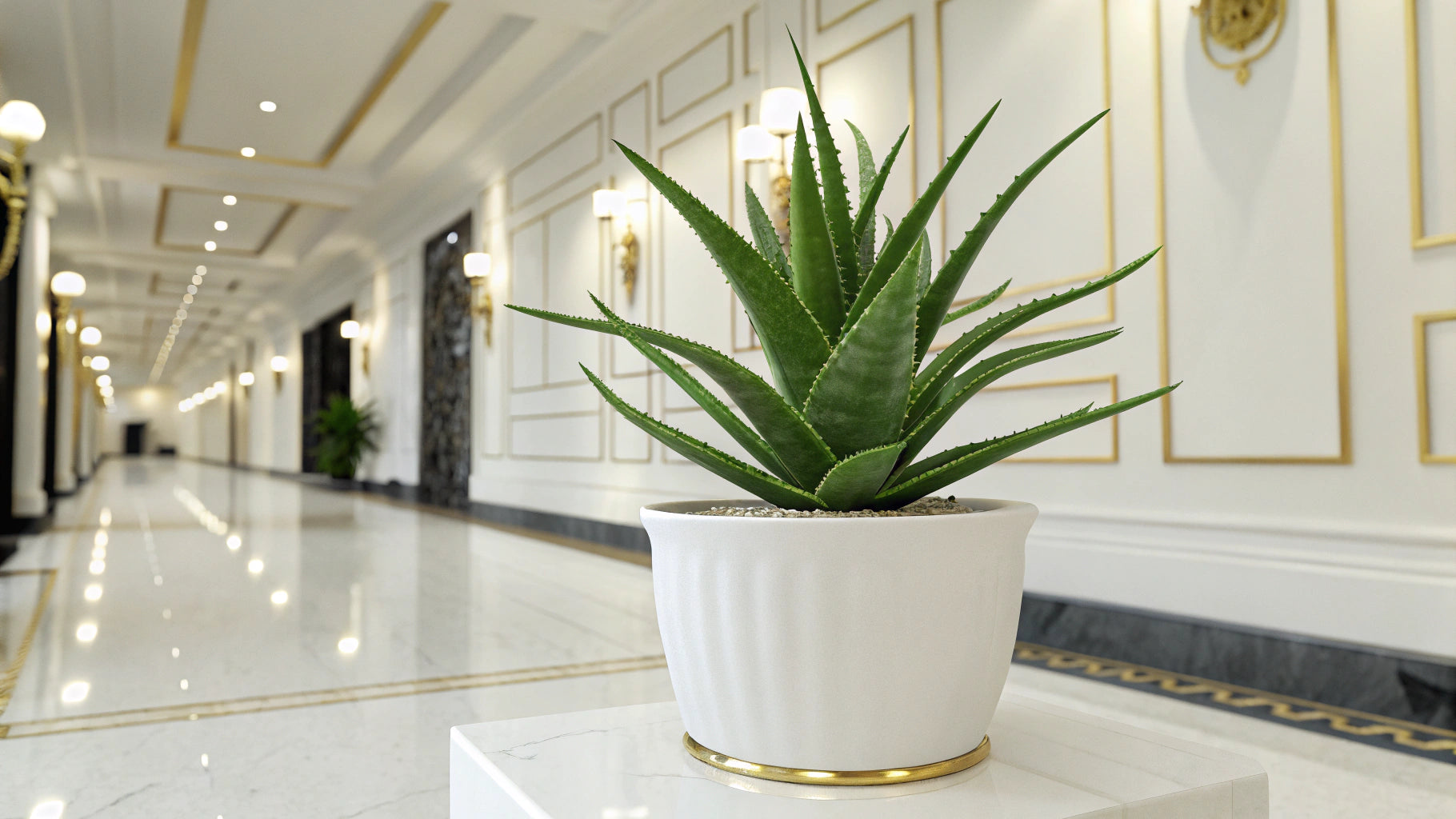 Aloe Vera – Healing innovation
