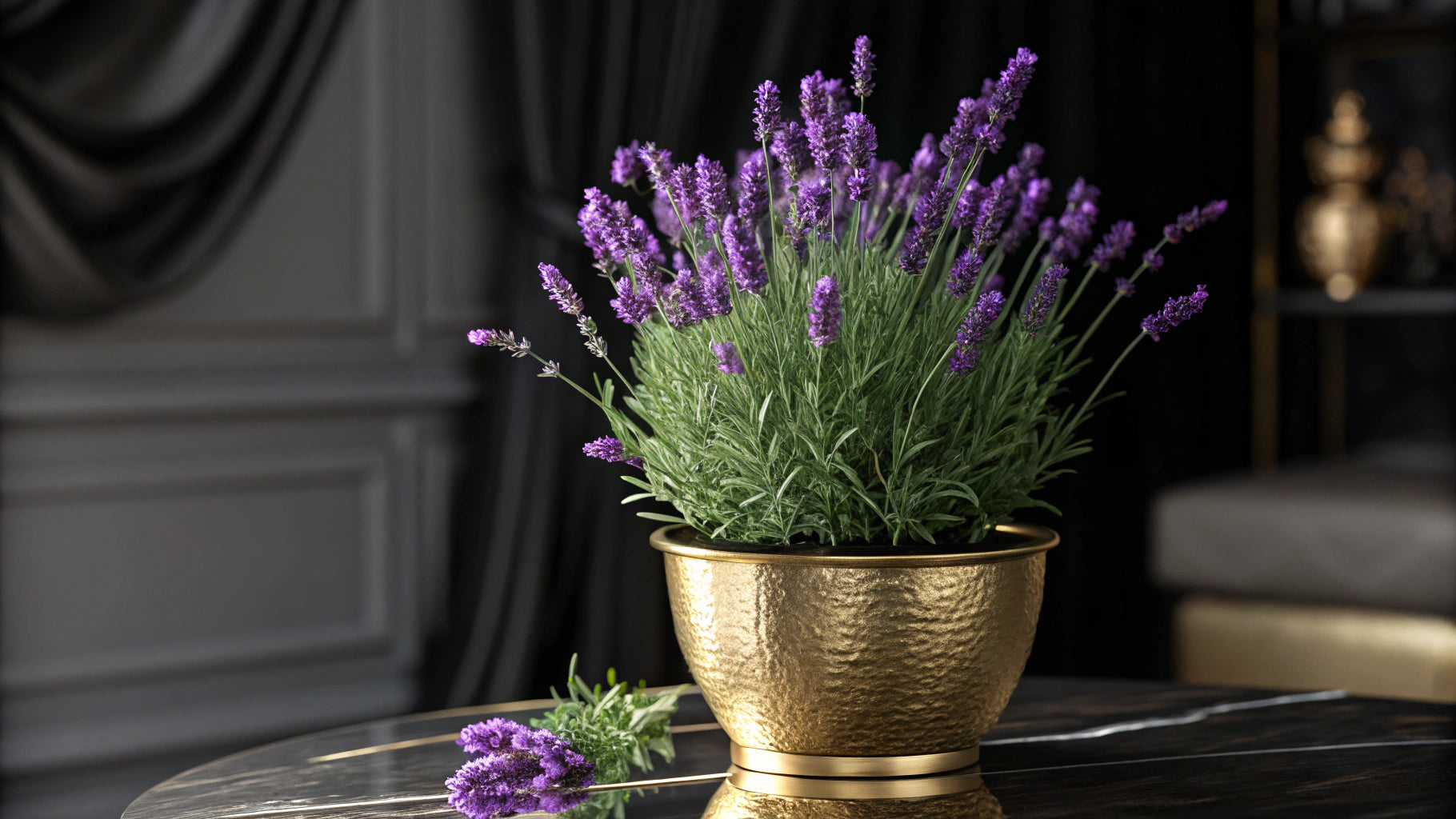 Lavender – Soothing and magical