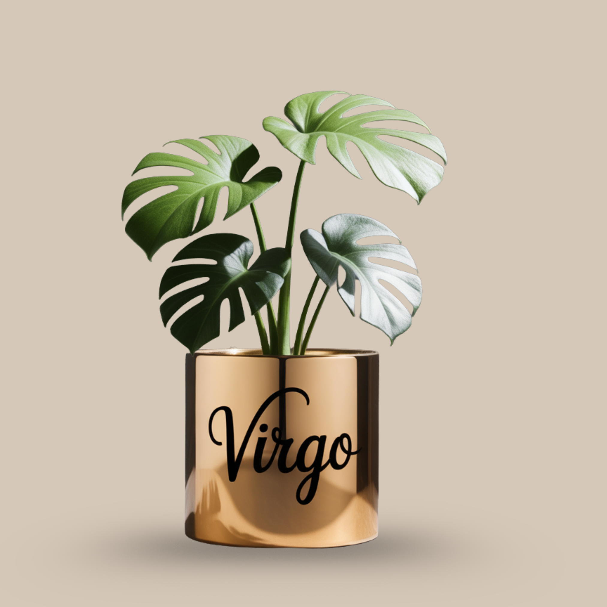 Mini Monstera – Aesthetic with clean edges