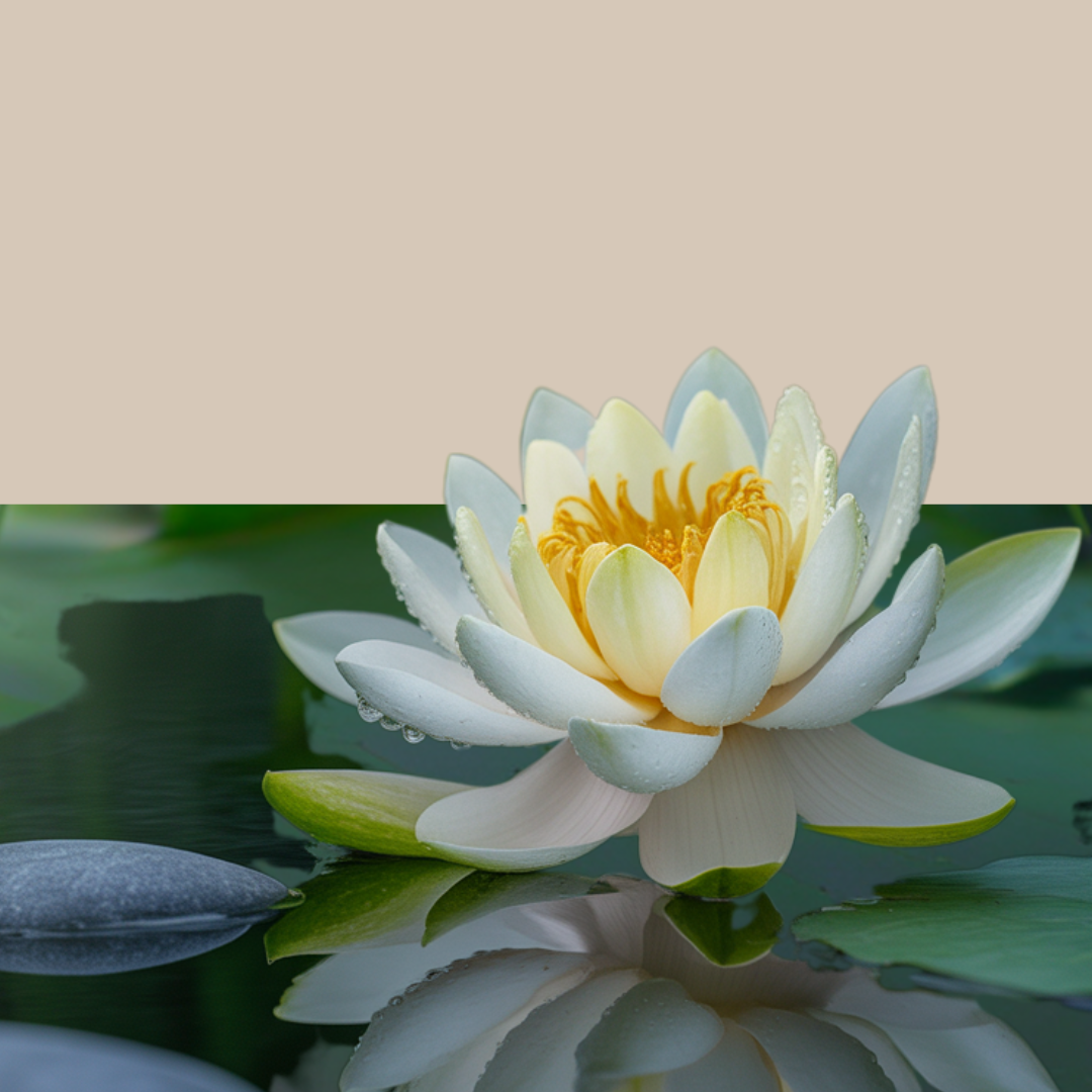 Lotus – The Flower of Enlightenment, Grace & Divine Awakening