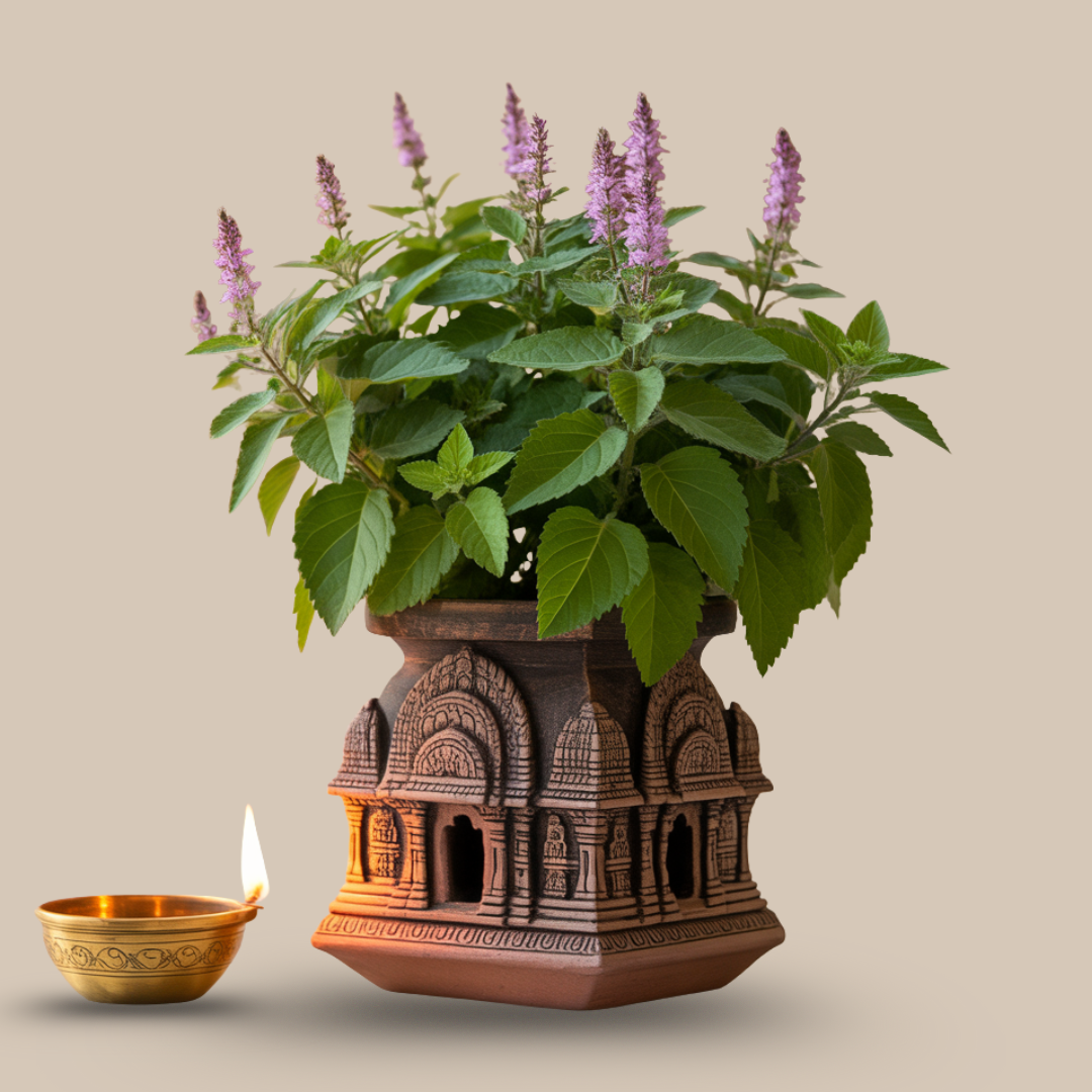 Tulsi – The Queen of Sacred Fire & Devotion
